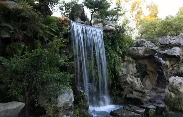 庭院盆景石头摆放图片,用什么摆放石头盆景好风水