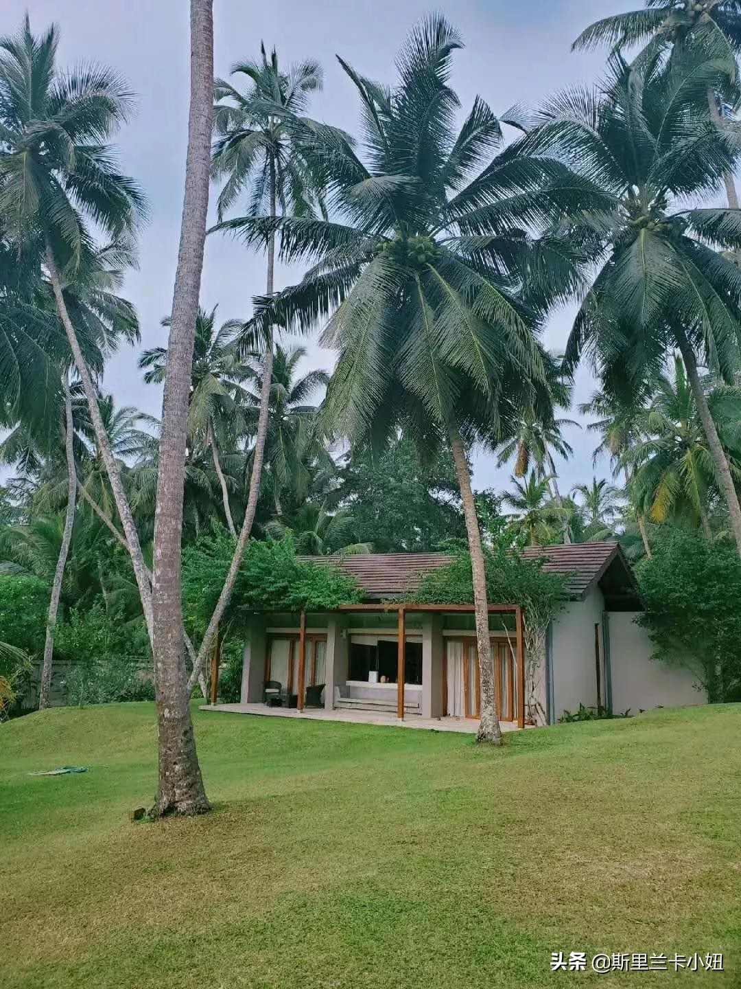 这座隐居别墅，上过设计杂志得过奖，是一位低调女主人的私宅