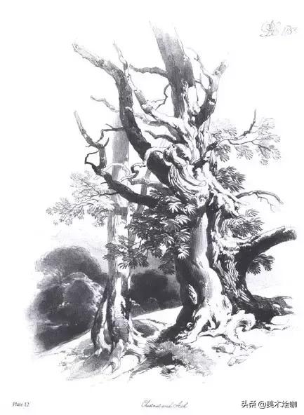 素描风景临摹高清大图简单范本,有山有水有倒影的素描风景图