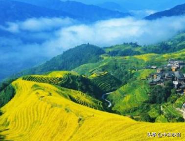 乡镇干部扎根基层申论,青年干部如何扎根基层申论