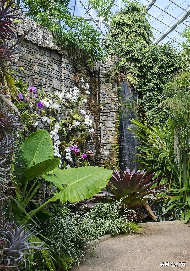 泰国坑中国游客,泰国坑中国游客后续