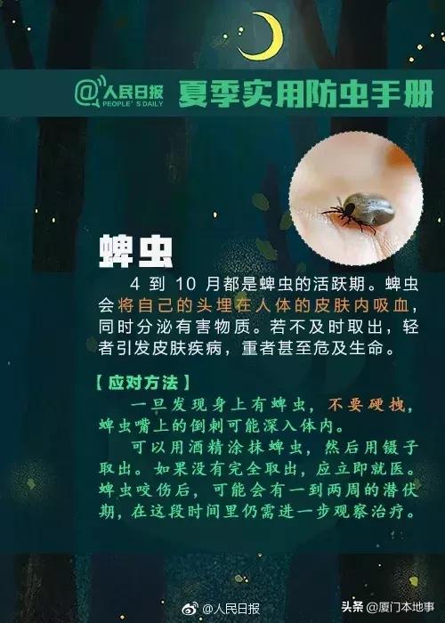 厦门人当心！又有虫子出来惹事！被咬后严重可危及生命