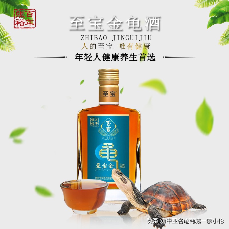 龟市发展史07:被高度爆炒的黑颈龟为何炒爆了?