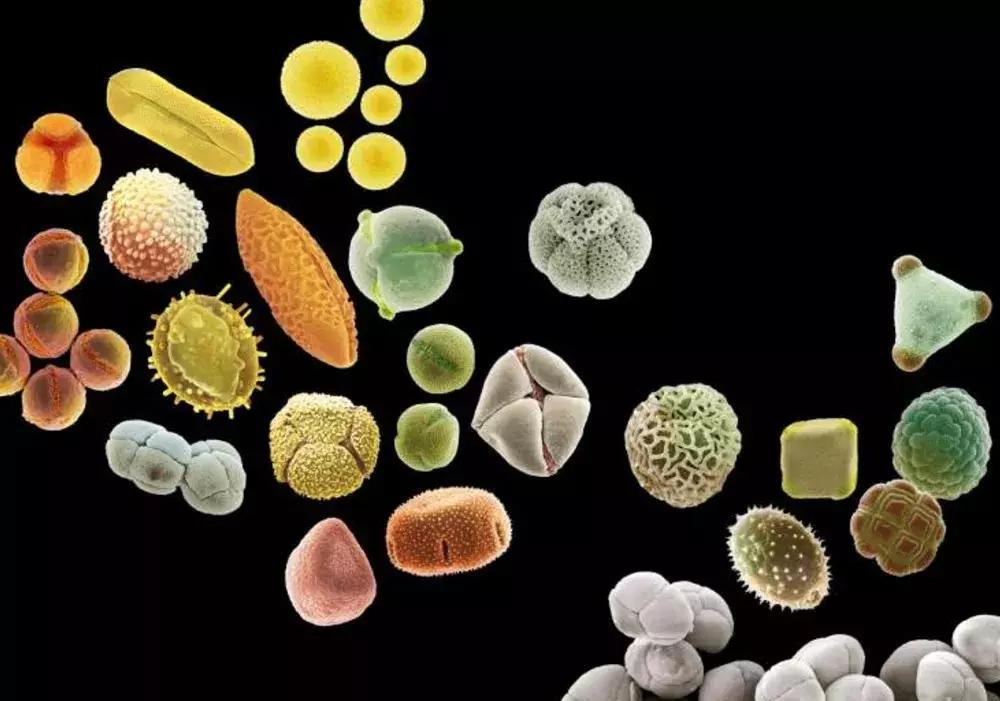 他送的情人节礼物,我居然过敏!