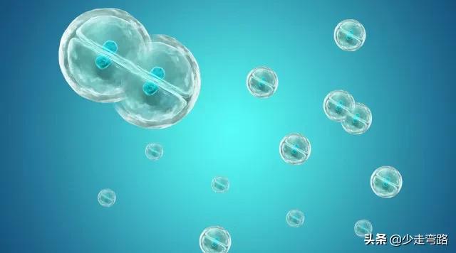 真菌感染和细菌感染是怎么引起的,白血病真菌是怎么带来的