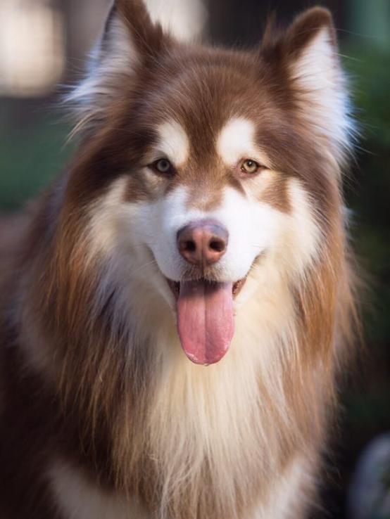 letsgo带你去兜风,letsgo旅行视频