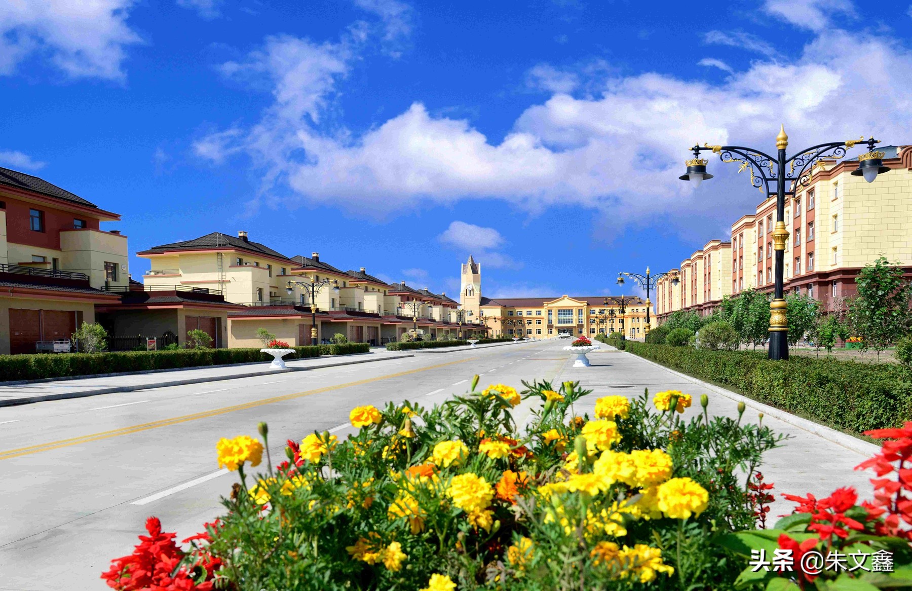 呼伦贝尔农垦纯牛奶三河牛,呼伦贝尔大草原三河牛