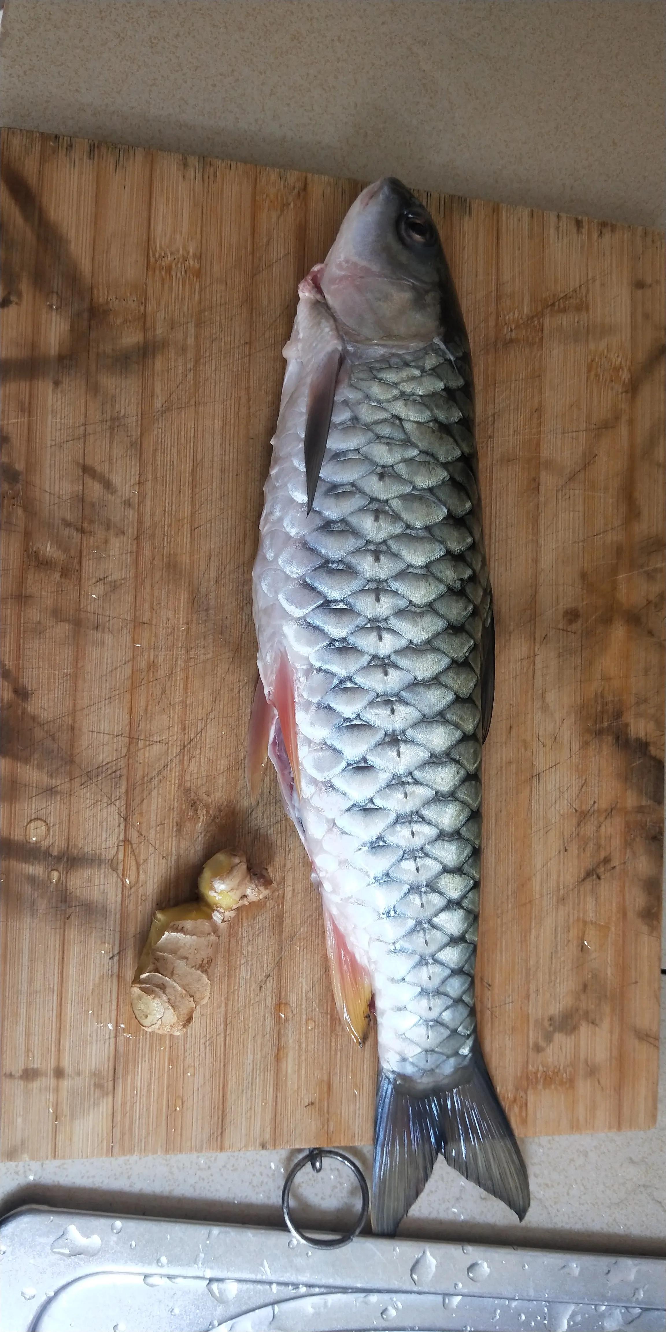 进阶型钓竿,新手钓鱼进阶教学