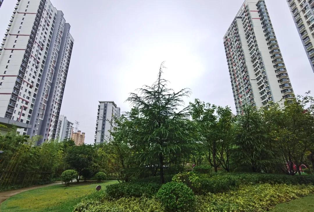 今天，我要好好夸下无锡这个学区房的物业