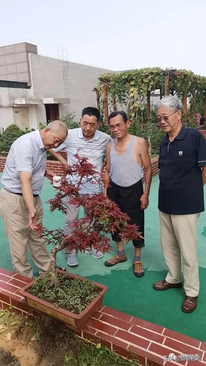 涓浗钁楀悕鐩嗘櫙澶у笀绮惧搧鐩嗘櫙,鐩嗘櫙鑹烘湳瀹跺拰鐩嗘櫙鑹烘湳澶у笀