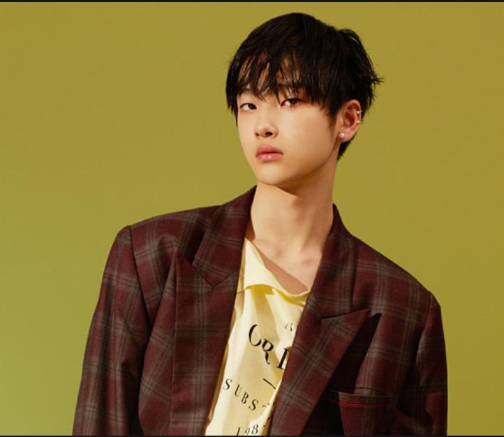 我们的歌2发布会完整版,我们的歌2贺岁