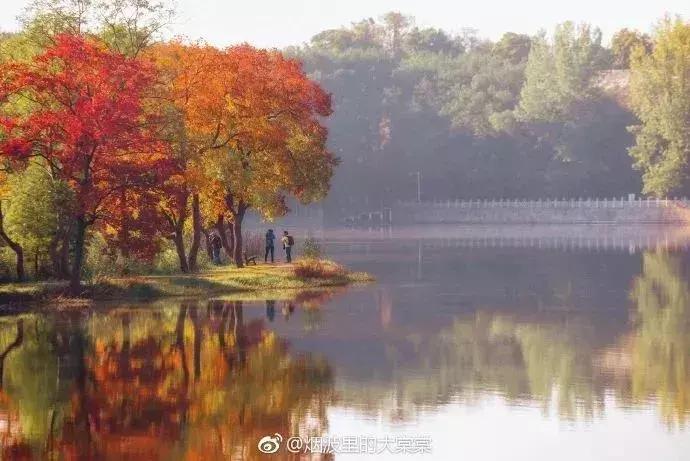 南京人少景美的免费公园,太全了全国旅游简图