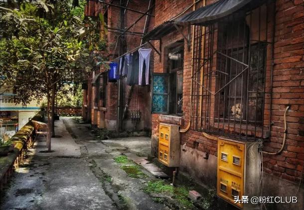 武汉印象 ▏重启第101天,我们在美术馆邂逅这座城