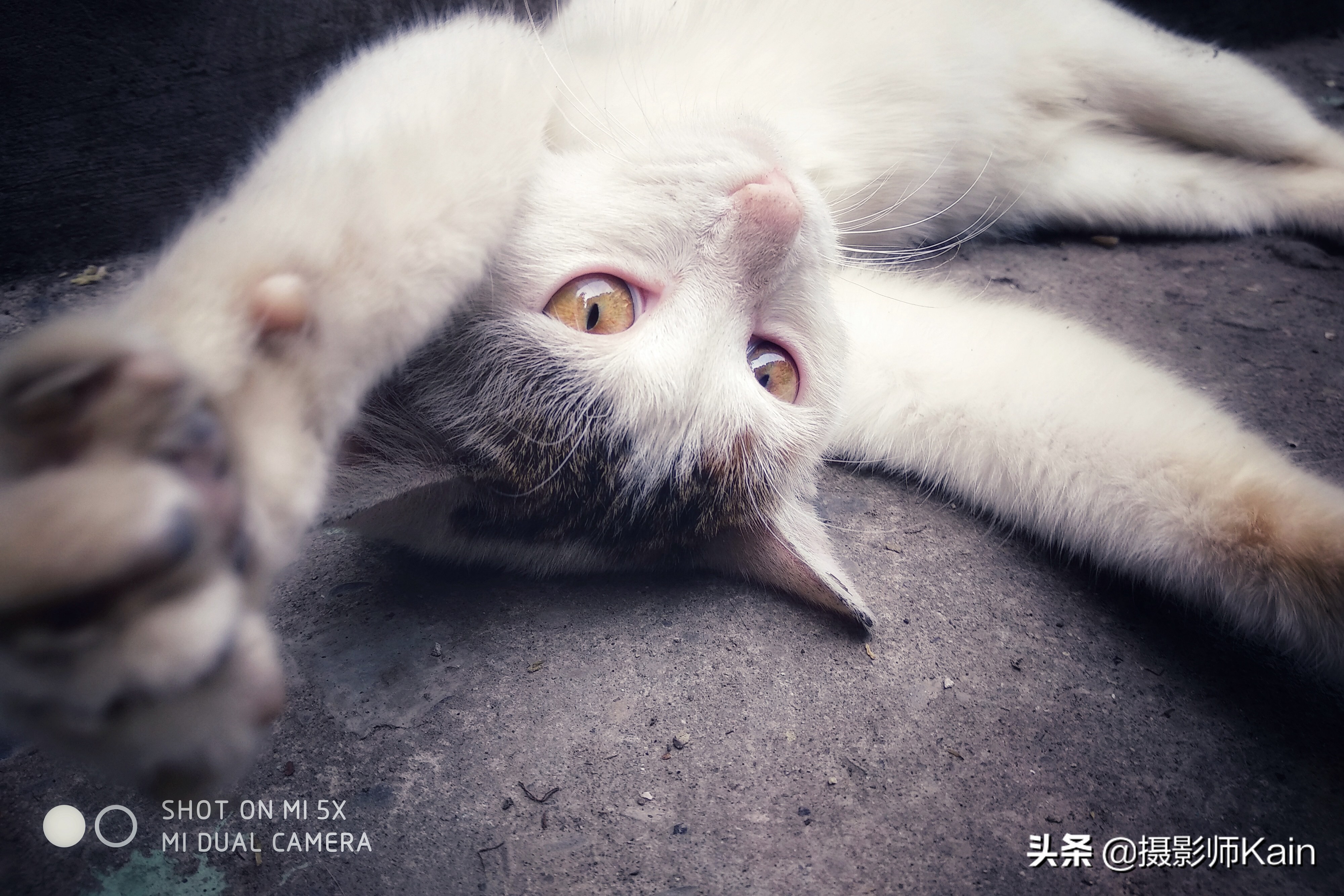 在平凡的场景中记录闪光的瞬间——专访摄影师zhaolei829