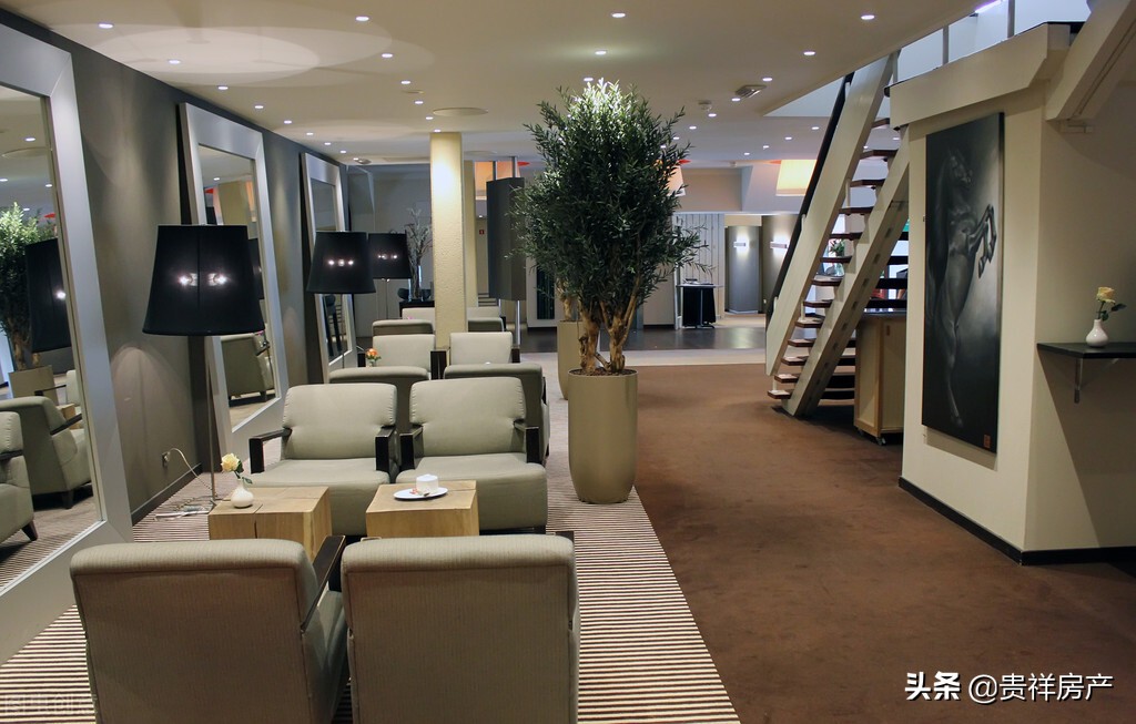 属鸡办公室养鱼养11条合适吗,办公室不用换水养鱼的正确方法