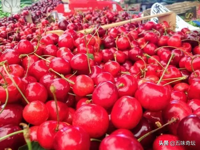 行走塞尔维亚,玩转塞尔维亚