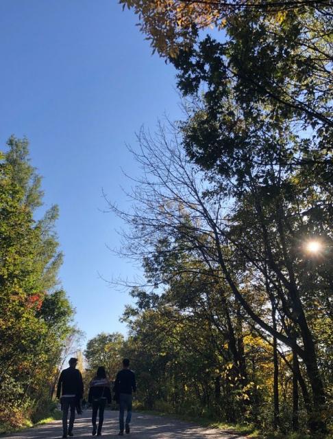 陈妍希和陈晓婚后首次大银幕演人妻，和凤小岳张书豪浪迹天涯