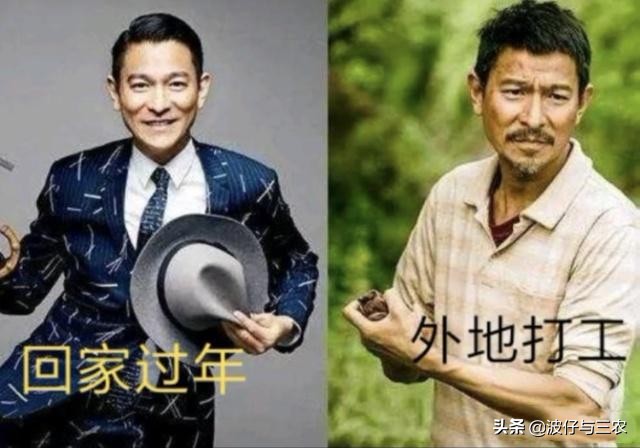 新农村种田创业,年轻人回家种田创业