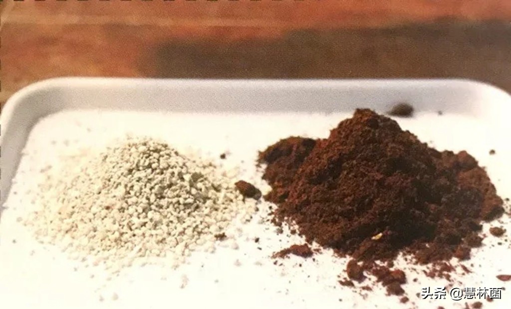 不同的多肉配不同的土，多肉配土秘籍大全