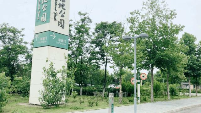 浐灞国家湿地公园最美地方,浐灞湿地公园有啥好玩的