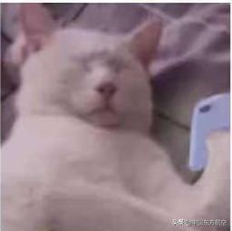 飞行员打假事件,飞行员评判标准