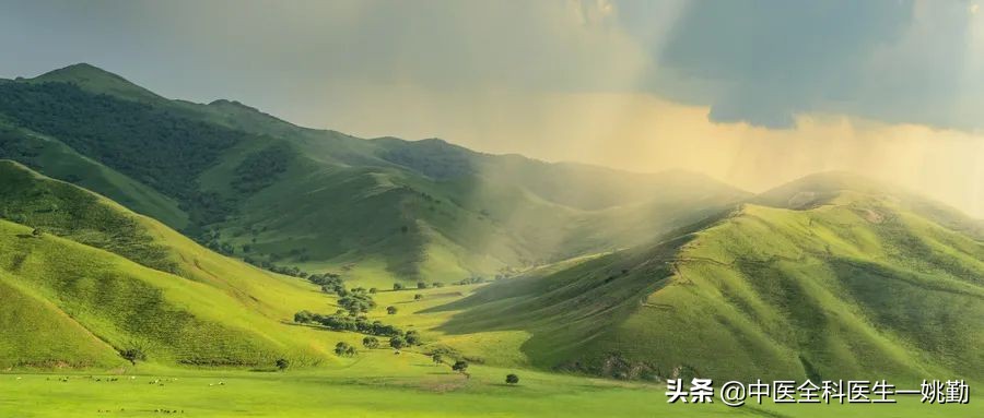 五脏虚阴阳虚,五脏虚了要怎么补