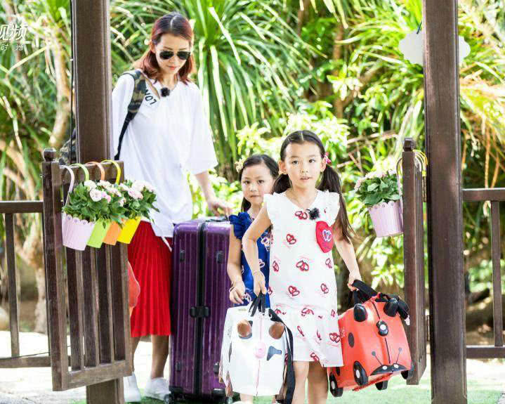 四岁小男孩打跆拳道,男童跆拳道抗击打