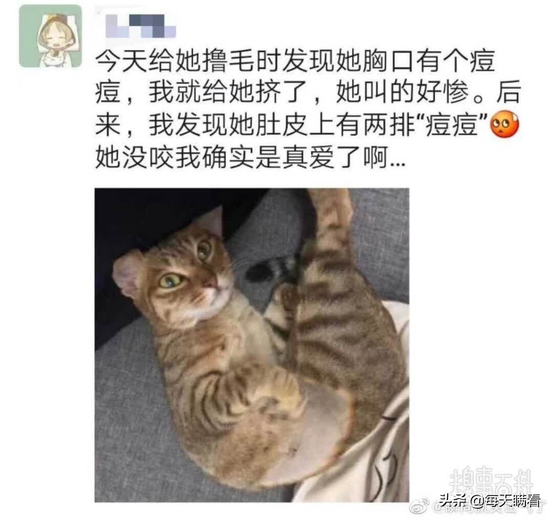 打一成语春蚕到死丝方尽,打一成语视频