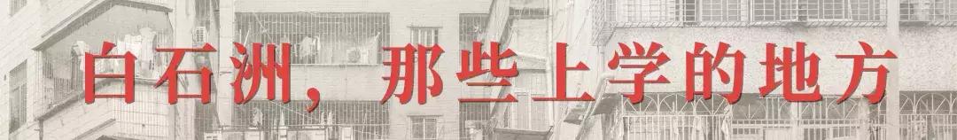 白石洲消失的原因,白石洲今日消息