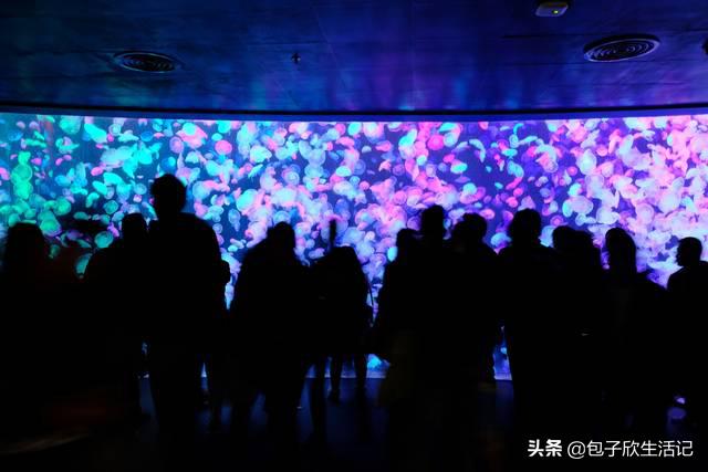 亲子珠海长隆海洋王国一日游攻略,珠海长隆海洋王国游玩攻略亲子