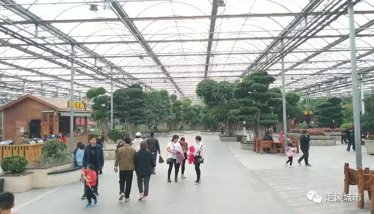 走读城市之廊坊安次（八）：九天休闲谷