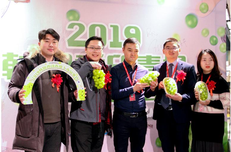 韩国香印青提介绍,寒冬凛冽韩文版