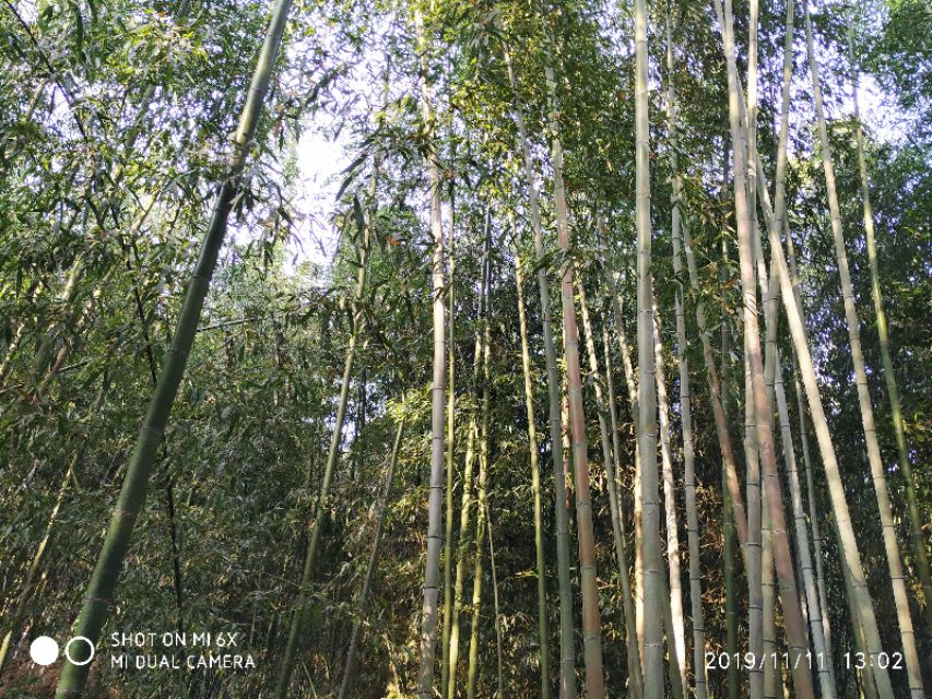 3月底日本关西8日游攻略,日本关西旅游攻略七日游