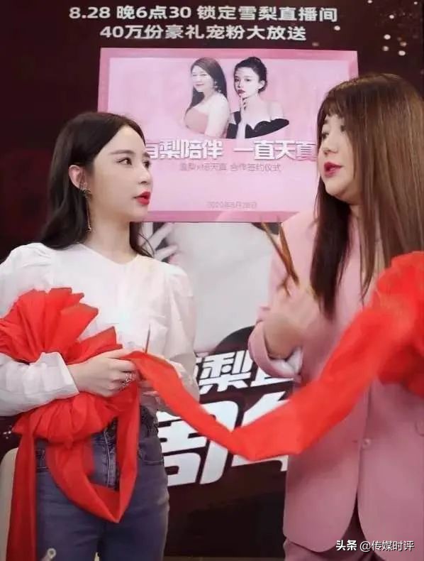 雪梨宸帆主要经营什么,宸帆雪梨