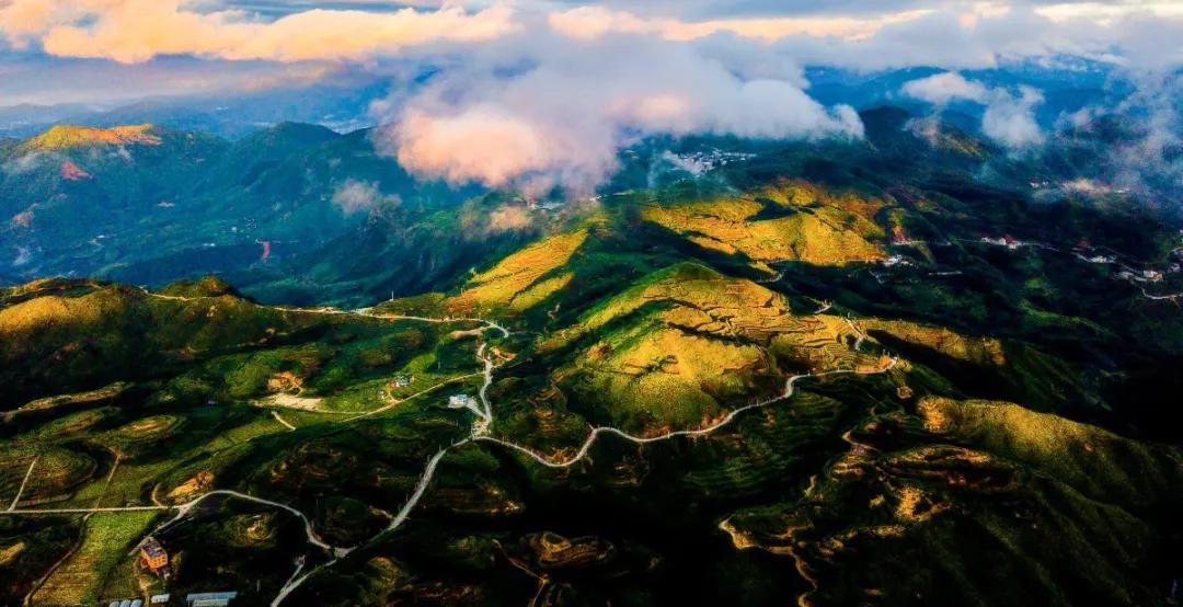 春日茗茶似神仙!厦门人究竟有多好这一口