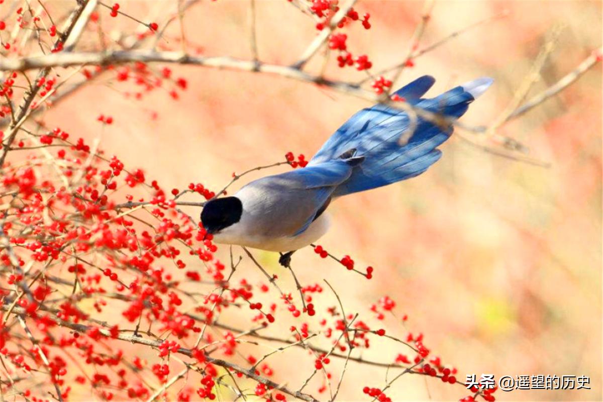 农村宅子出四喜有什么说法,古人有一句俗语宅子出四喜