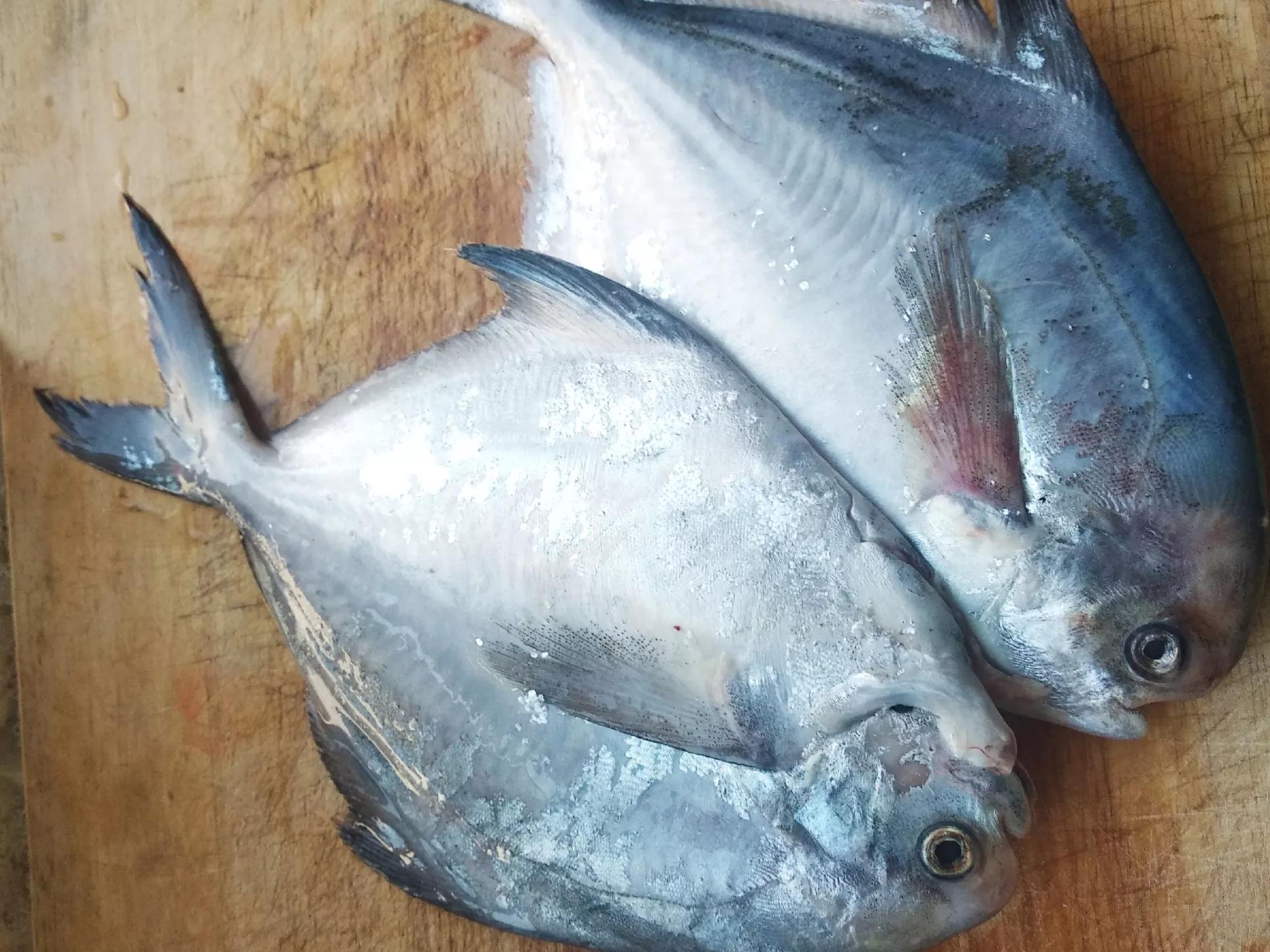 “1鮃2镜3鳎目”都是啥？你吃过几种？中秋前后遇到了，别忘尝鲜