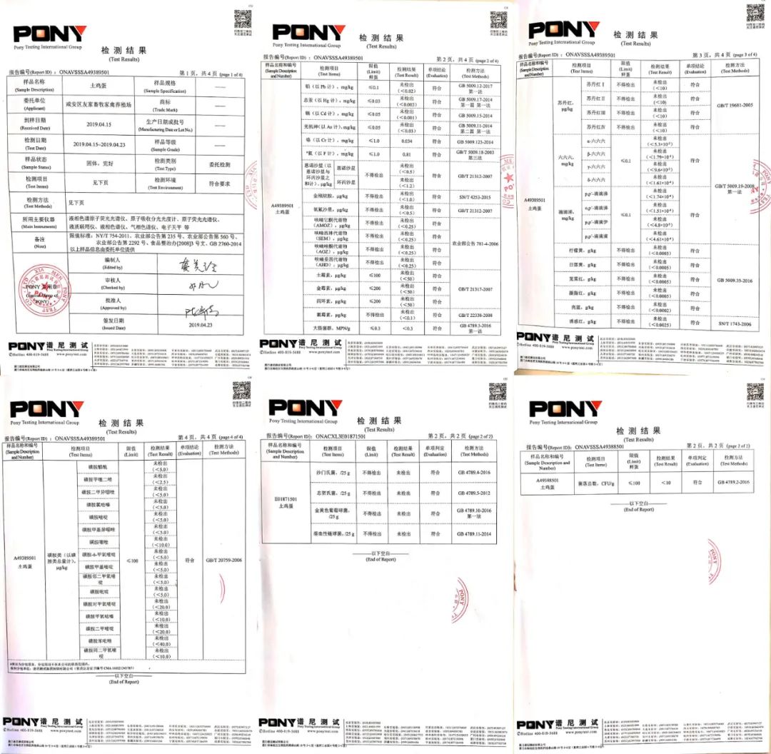900元开启养鸡路，10年九死一生，创出“百草鸡”