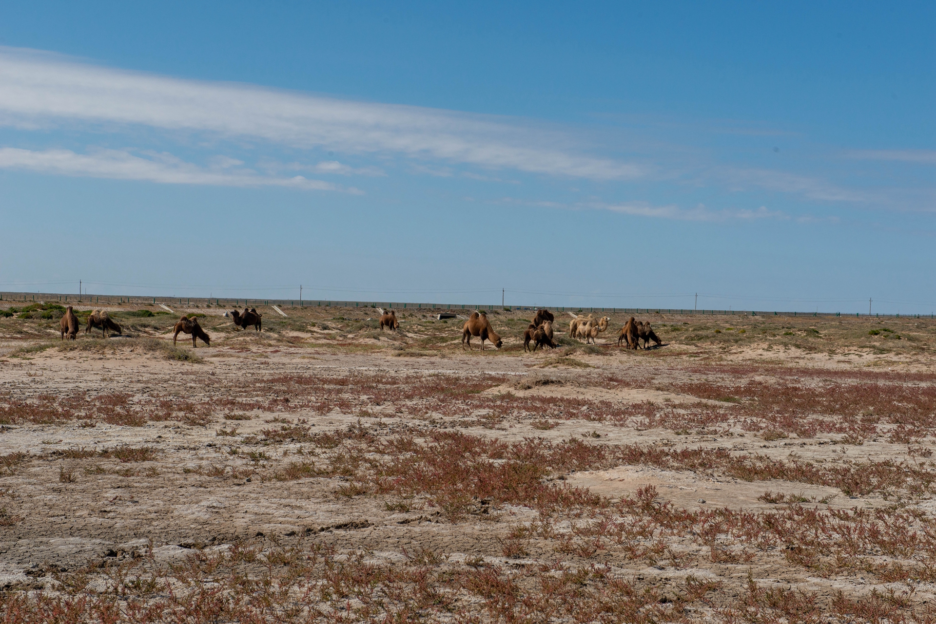二连浩特到新疆边境游,内蒙古自驾游二连浩特