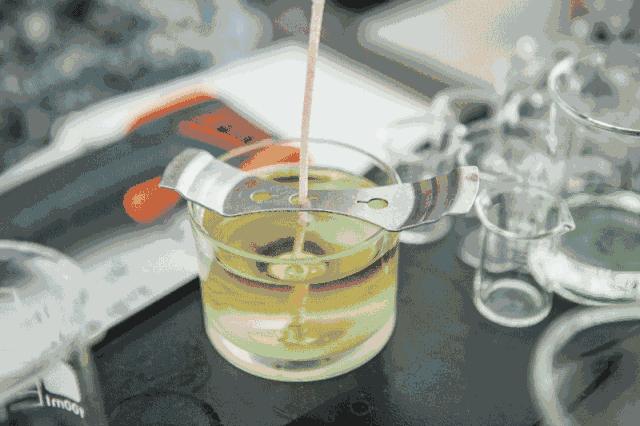 鼻尖上的法国|关于那个价值千万的“鼻子”