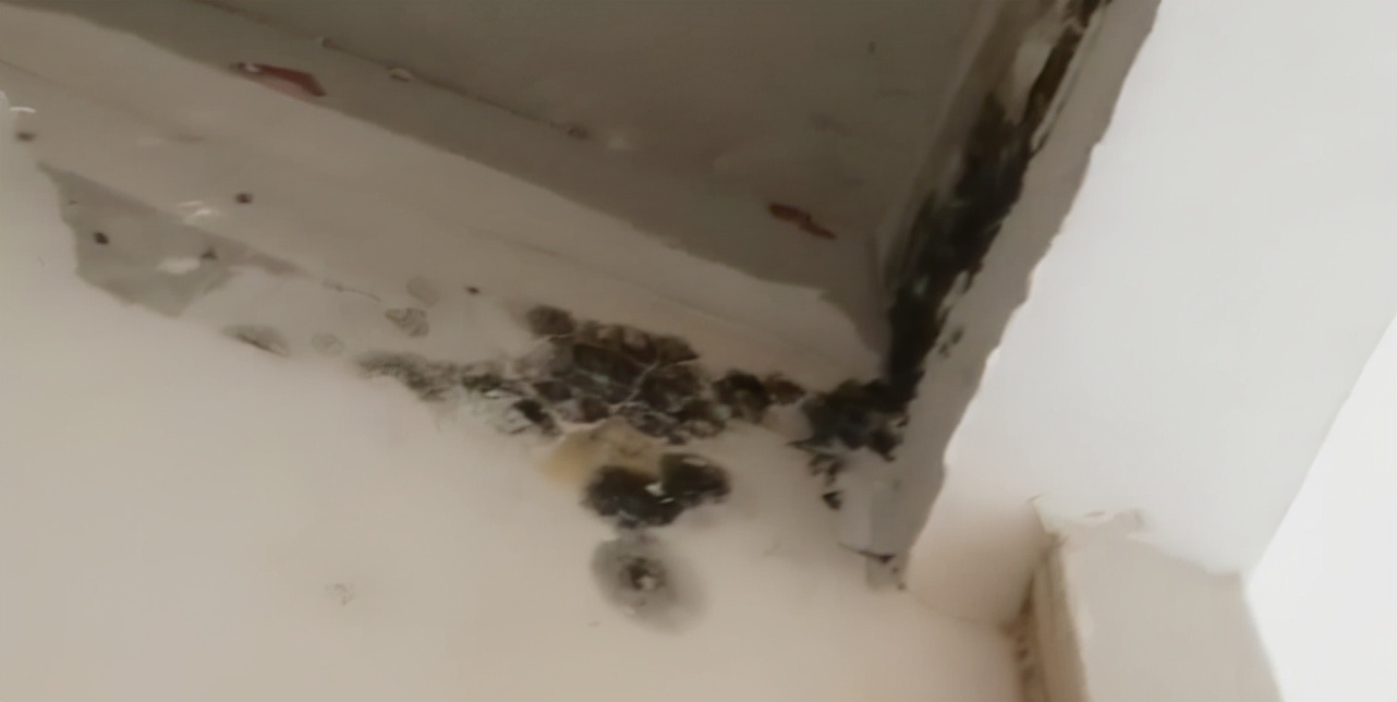 万科北京一楼盘被指精装变“惊装”曾因精装房漏水被315点名