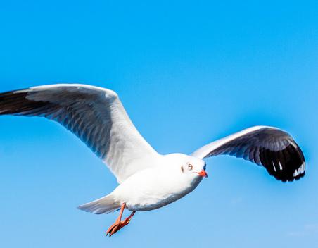 赵友辉散文：寻找一片栖息地