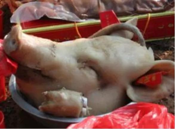 广州双枪失窃案：缝纫机厂和部队同时丢枪，警方如何顺藤摸瓜？