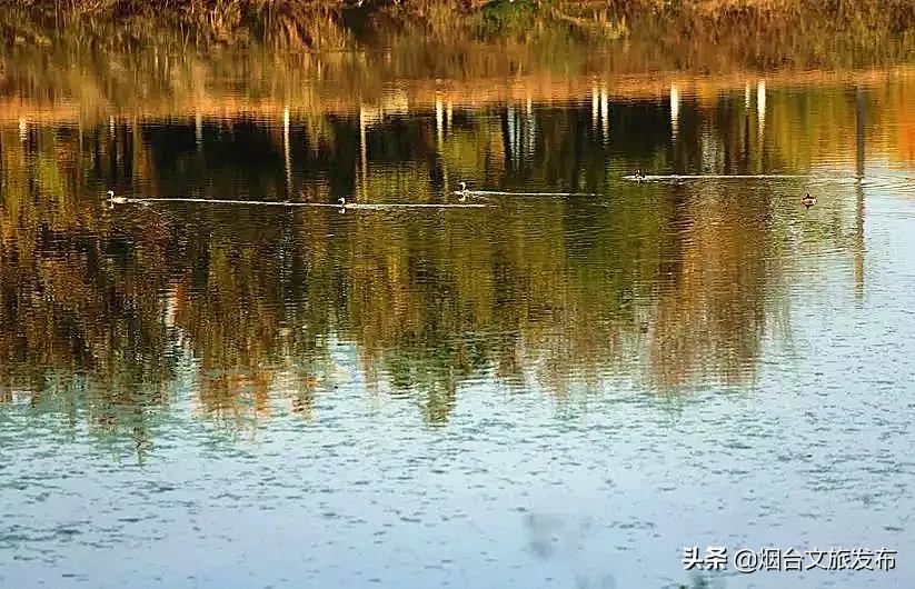 大自然打翻了调色板的唯美句子,烟台自然景点