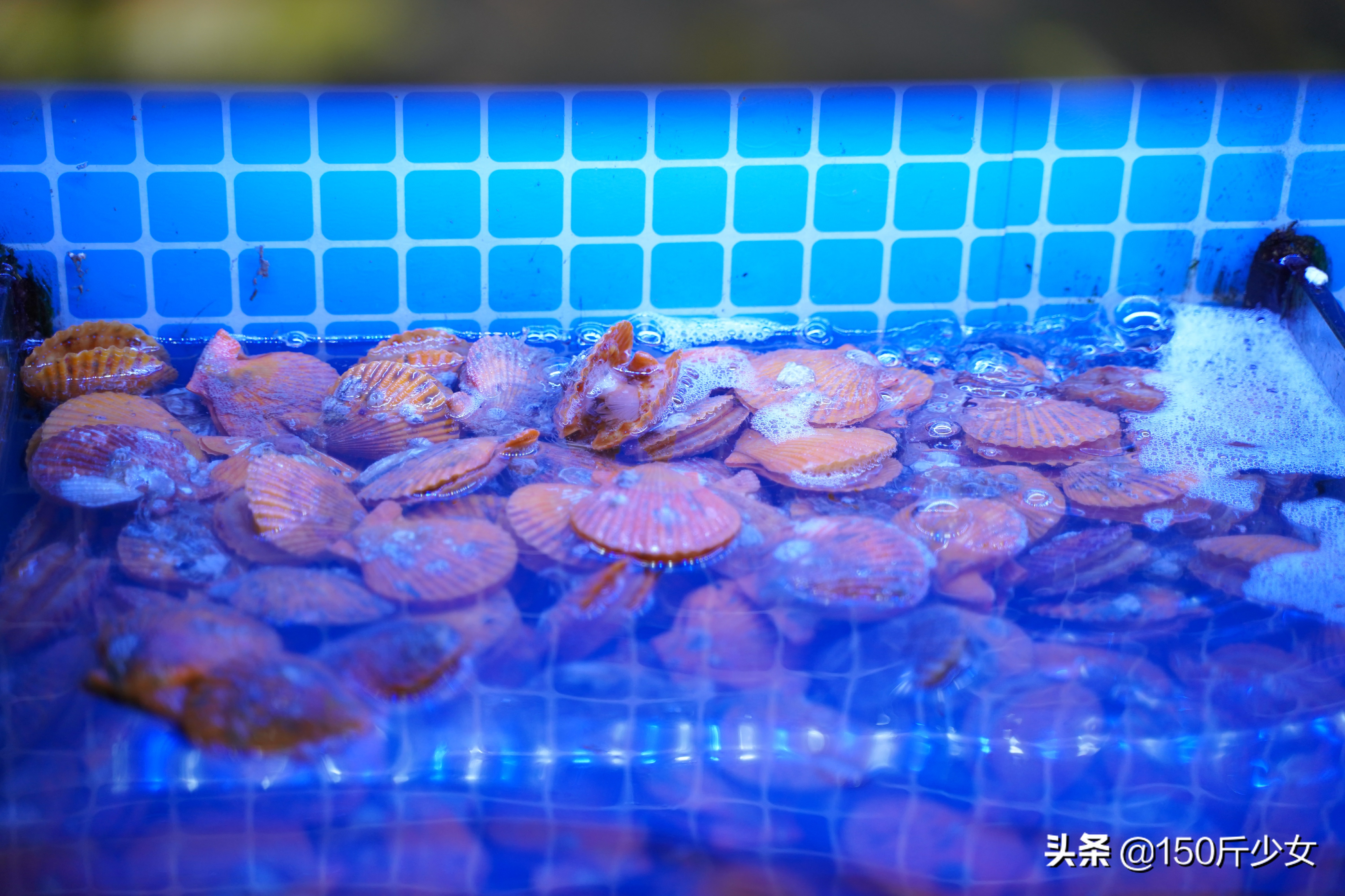 想念三亚的阳光和沙滩海浪,三亚期盼已久的大海