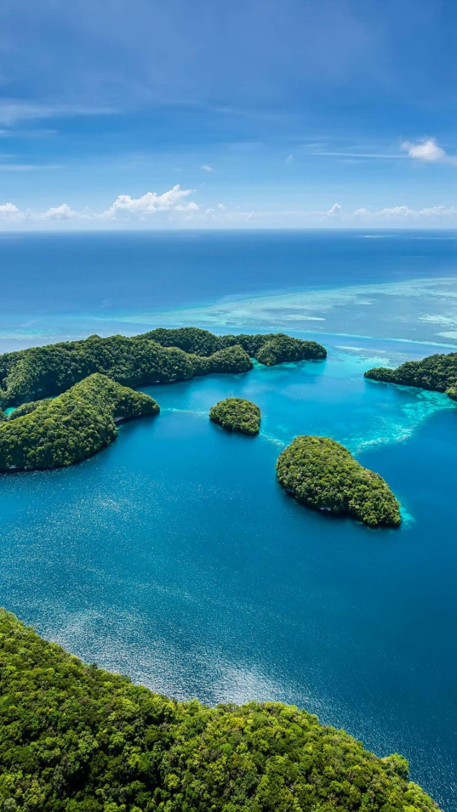 从磁带到CD，从MP3到智能音箱，音乐*放播**器暴露你的年龄