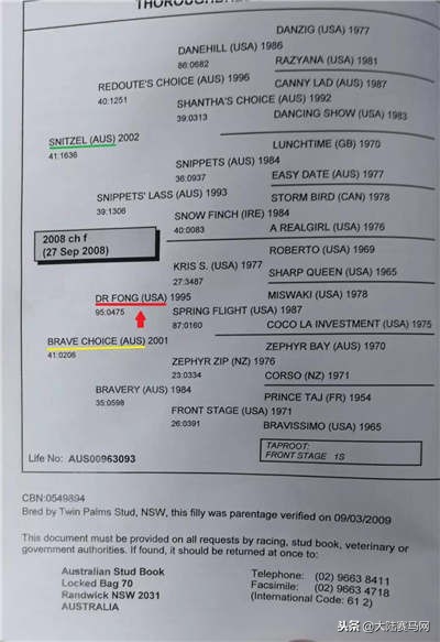 马也有护照？中国、日本的最好辨认，法国居然这么写！