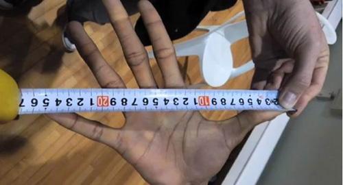 乔丹的大手和小卡,巨人的大手