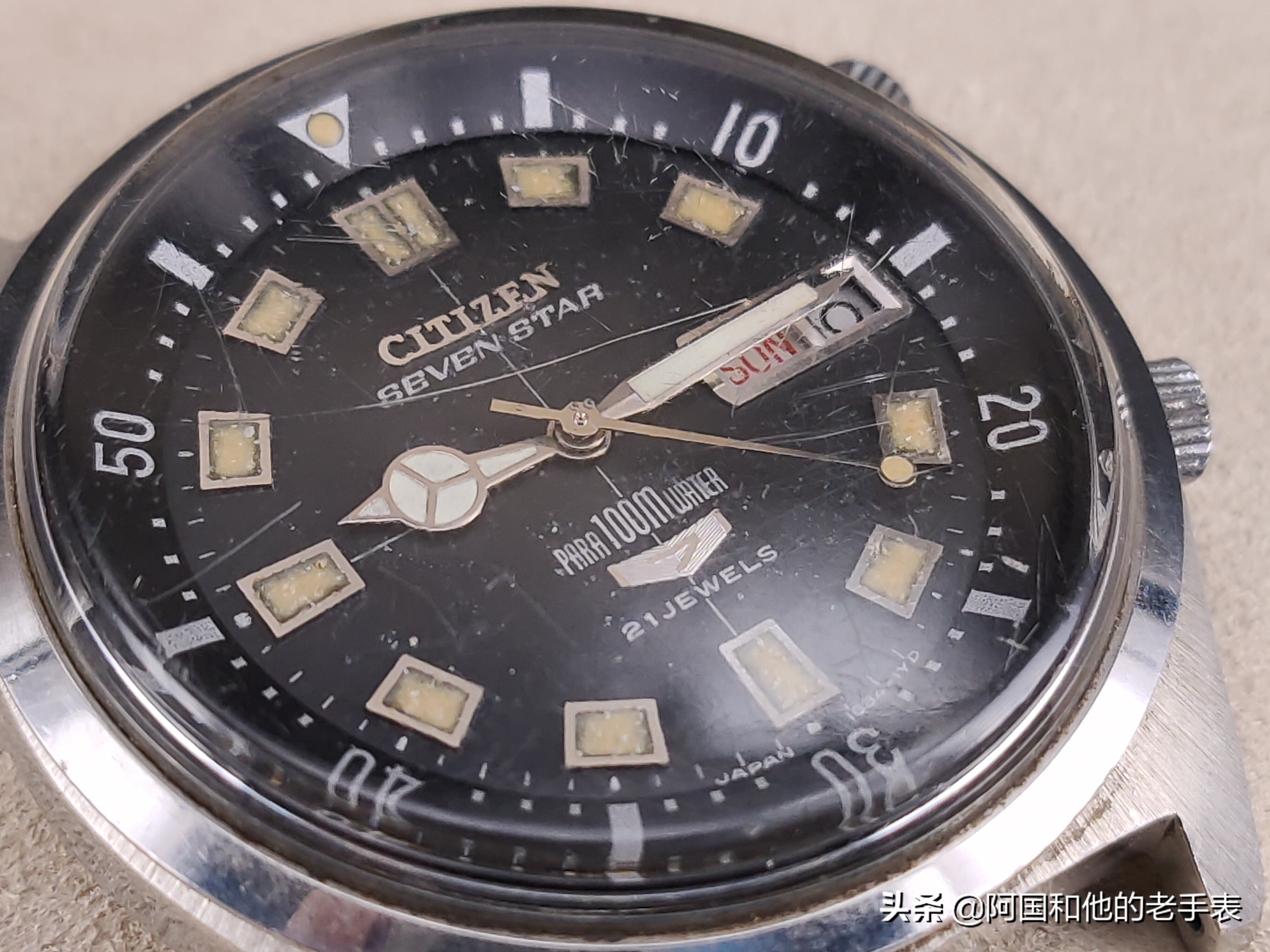 50年后的相见两只西铁城水鬼