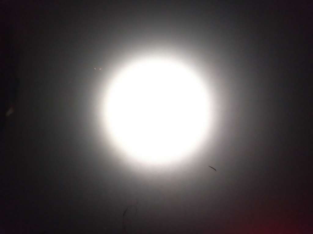 夜光电筒超亮,夜光电筒蓝光